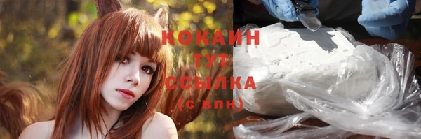 хмурый Абаза