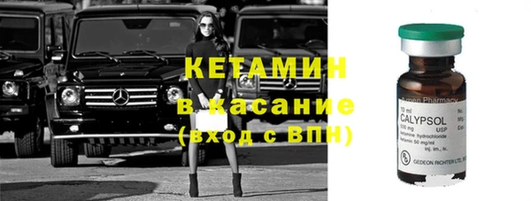 хмурый Абаза