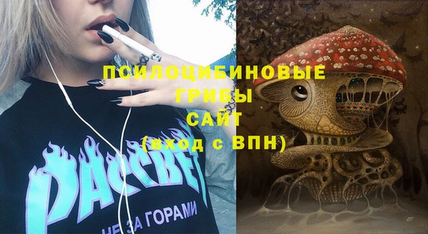 МДПВ Абдулино