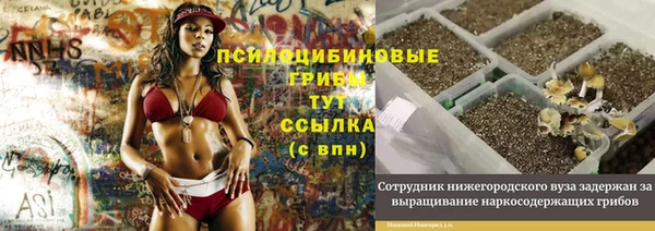 МДПВ Абдулино