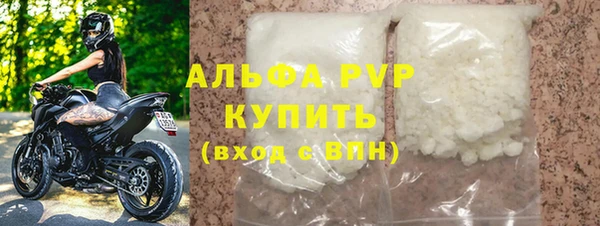 хмурый Абаза